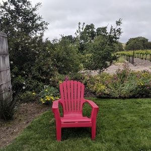 Meet your Posher, Yvonne